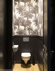 décoration toilettes noir